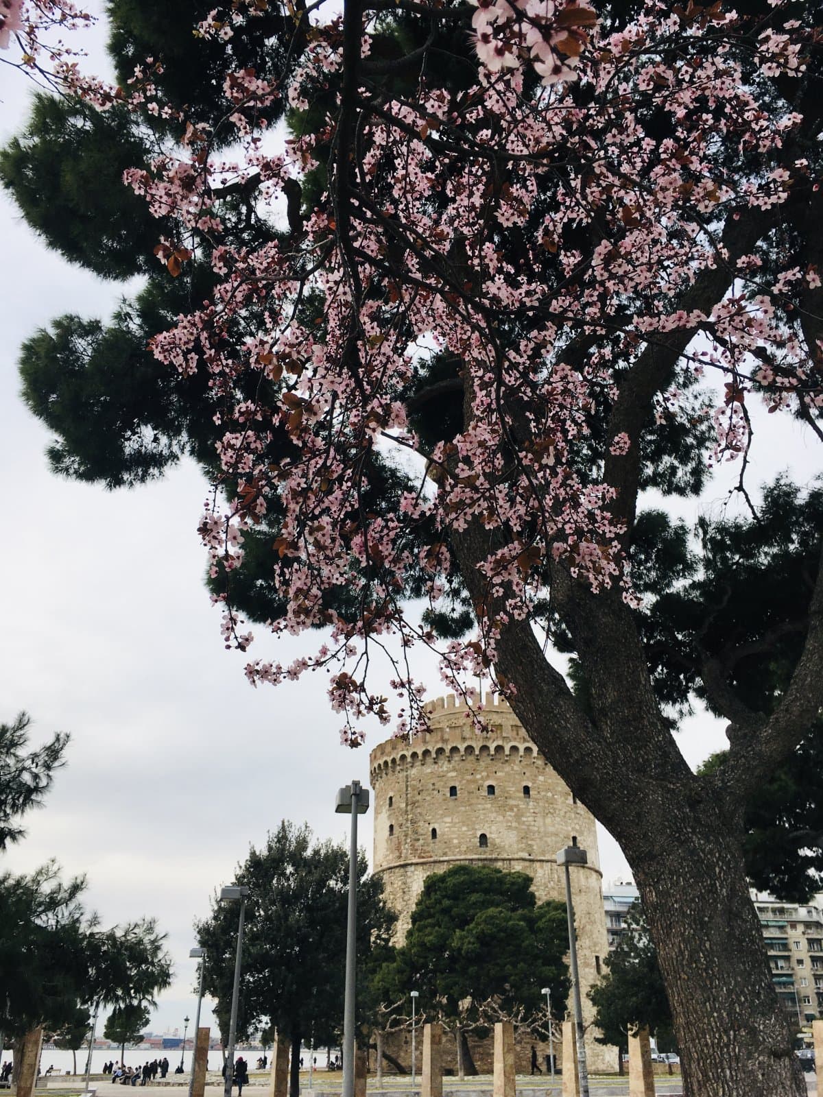 Солун - Метеора - Природни чудеса 5