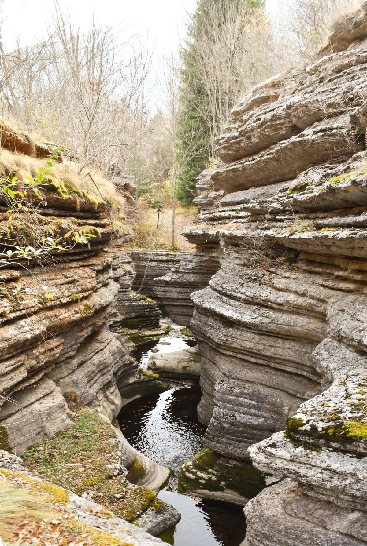 Уикенд в Пирот - старопланински легенди - екскурзия с автобус 6