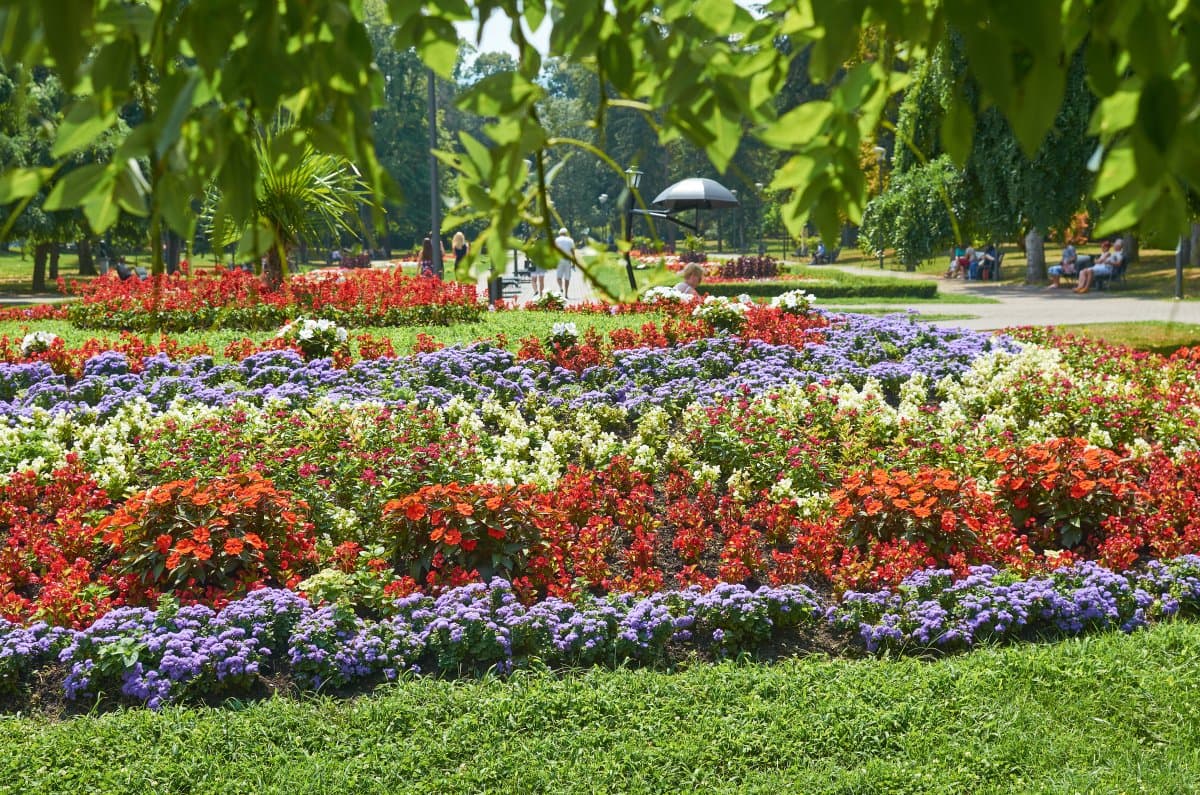 Екскурзия в СЪРБИЯ - ВЪРНЯЧКА БАНЯ, 2 нощувки в хотел 4* - екскурзия с автобус! 6