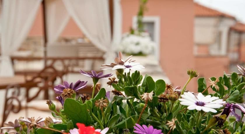 Archontiko Hatzipanayiotis 10