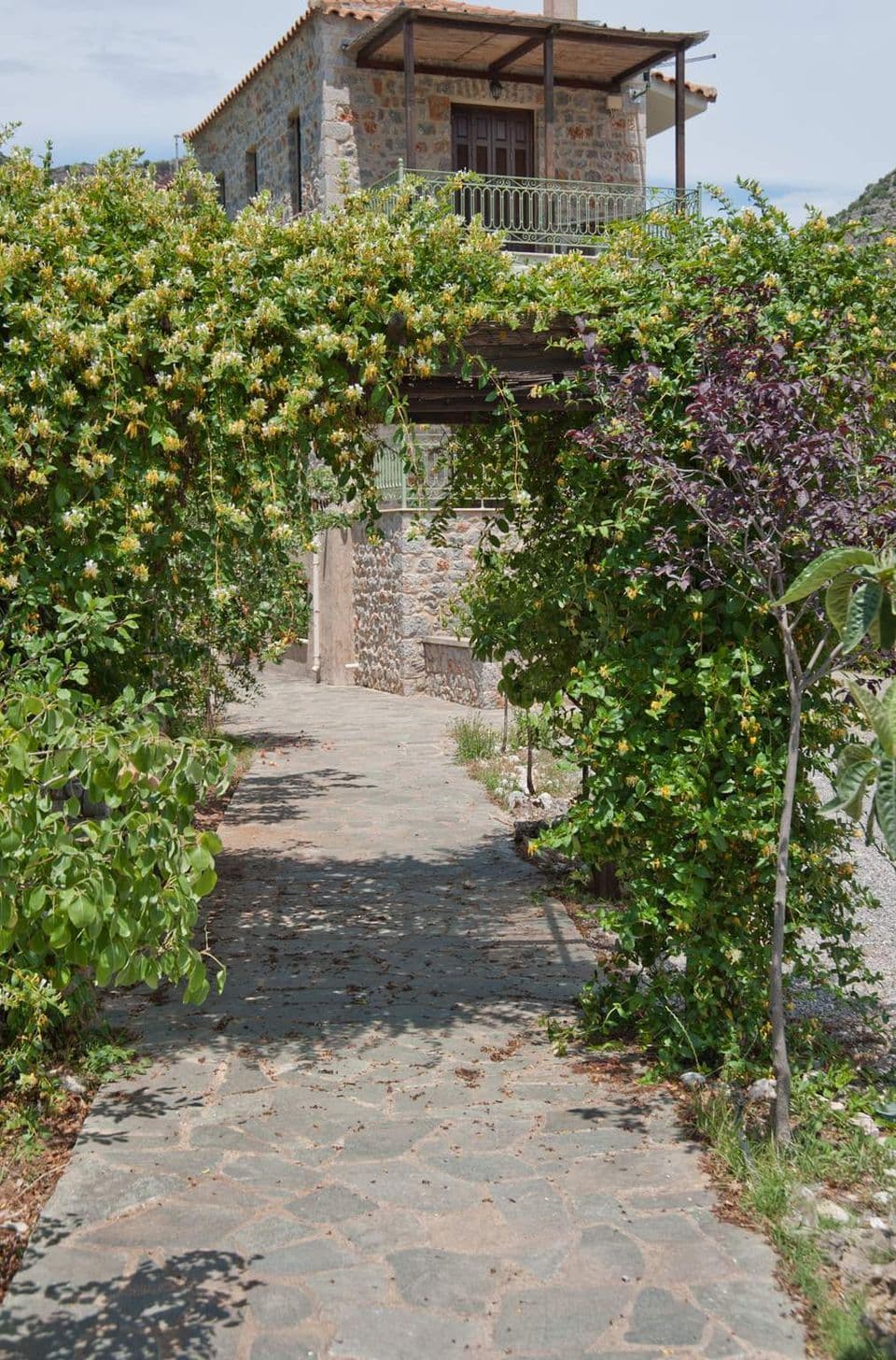 Archontiko Hatzipanayiotis 40